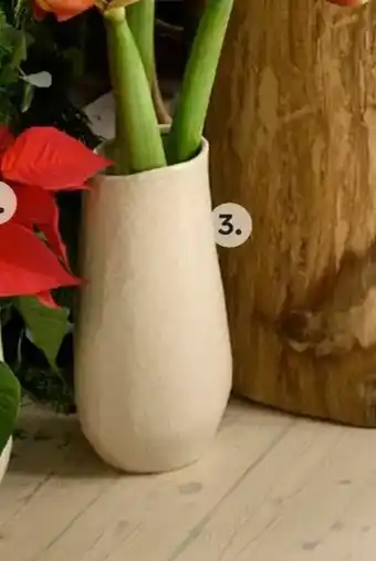 Plantagen Vas Doris erbjuda