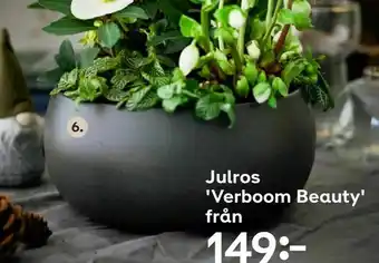 Plantagen Skål Corinne erbjuda