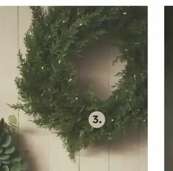 Krans Thuja