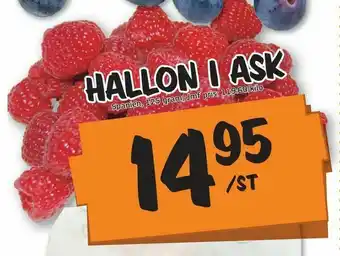 Hallon i ask