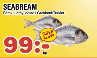 Nya Pulsen SEABREAM erbjuda