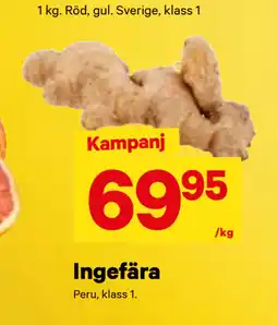 City Gross Ingefära erbjuda