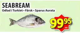 Matvärlden Tensta SEABREAM erbjuda