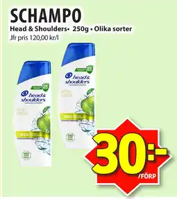 SCHAMPO