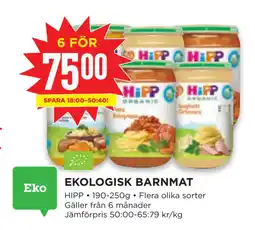 Willys EKOLOGISK BARNMAT erbjuda