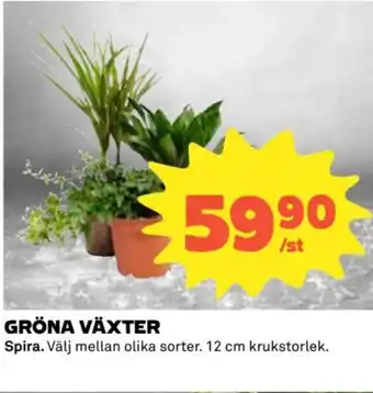 Coop Gröna växter erbjuda