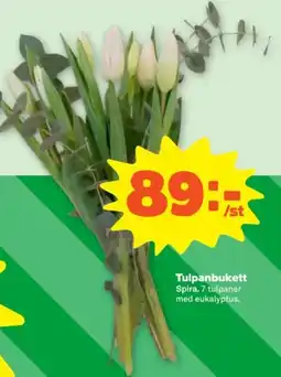 Stora Coop Tulpanbukett Spira. 7 tulpaner med eukalyptus. erbjuda