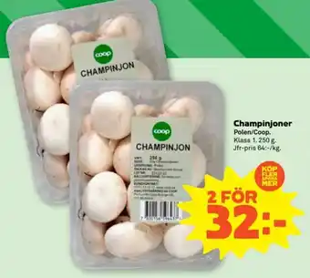 Stora Coop Champinjoner erbjuda