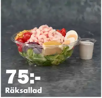 Biltema Räksallad erbjuda