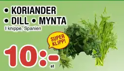 Nya Pulsen KORIANDER • DILL • MYNTA erbjuda