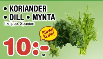 Nya Pulsen KORIANDER • DILL • MYNTA erbjuda