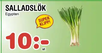 Nya Pulsen SALLADSLÖK erbjuda