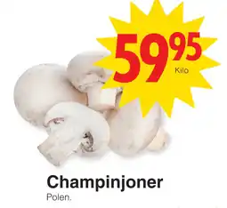 Matöppet Champinjoner erbjuda