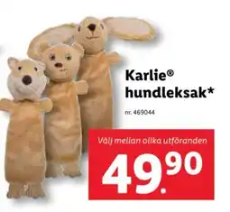 Lidl KarlieⓇ hundleksak⭑* erbjuda