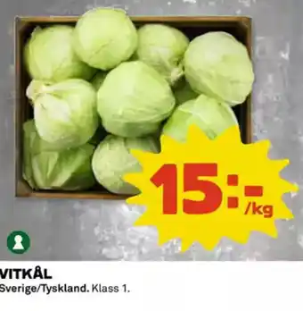 Coop Daglivs Vitkål erbjuda