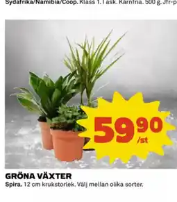 Coop Daglivs Gröna växter erbjuda