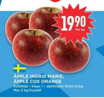 Willys Äpple Ingrid marie, äpple cox orange erbjuda