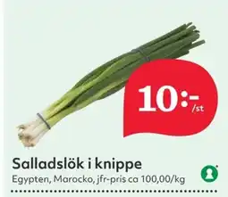 Hemköp Salladslök i knippe erbjuda