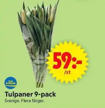 ICA Supermarket Tulpaner erbjuda