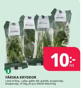 Tempo FÄRSKA KRYDDOR erbjuda