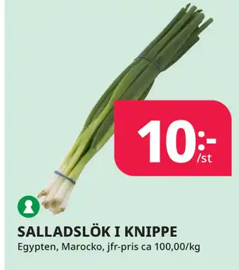 Tempo SALLADSLÖK I KNIPPE erbjuda