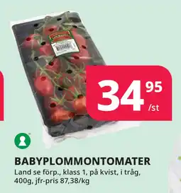 Tempo BABYPLOMMONTOMATER erbjuda