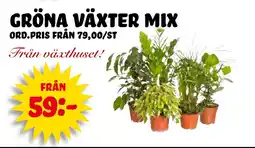 Nelins Gröna Växter Mix erbjuda