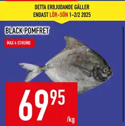 Matdax BLACK POMFRET erbjuda