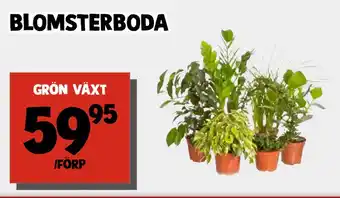 MatArket BLOMSTERBODA erbjuda