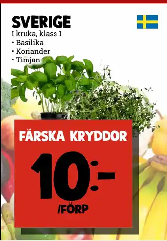 MatArket Färska kryddor erbjuda