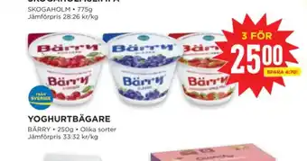 Willys Yoghurtbägare erbjuda