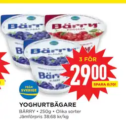 Willys Hemma YOGHURTBÄGARE erbjuda