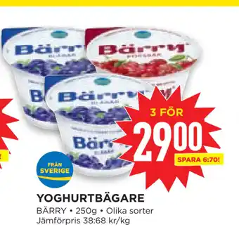 Willys Hemma YOGHURTBÄGARE erbjuda