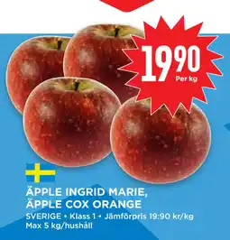 Willys Hemma ÄPPLE INGRID MARIE, ÄPPLE COX ORANGE erbjuda