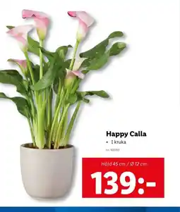 Lidl Happy Calla erbjuda