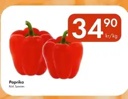 Snabbgross Paprika erbjuda