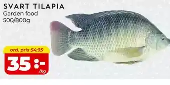 Matrix Butikerna Svart tilapia erbjuda