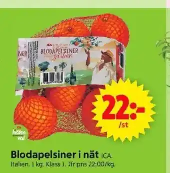 ICA Supermarket Blodapelsiner i nät erbjuda