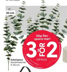 Rusta Eukalyptus Konstmaterial erbjuda