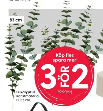 Rusta Eukalyptus Konstmaterial erbjuda