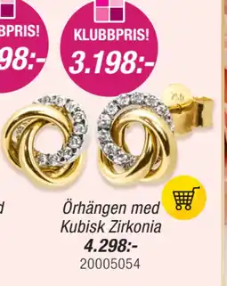 Guldfynd Örhängen med Kubisk Zirkonia erbjuda