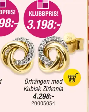 Guldfynd Örhängen med Kubisk Zirkonia erbjuda