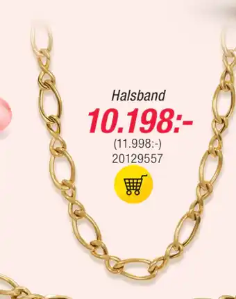 Guldfynd Halsband erbjuda