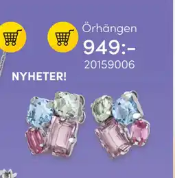 Guldfynd Örhängen erbjuda