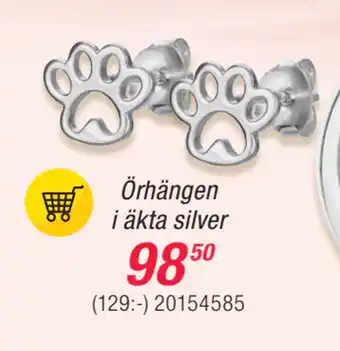 Guldfynd Örhängen i äkta silver erbjuda