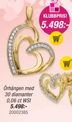 Guldfynd Örhängen med 30 diamanter 0,06 ct WSI erbjuda