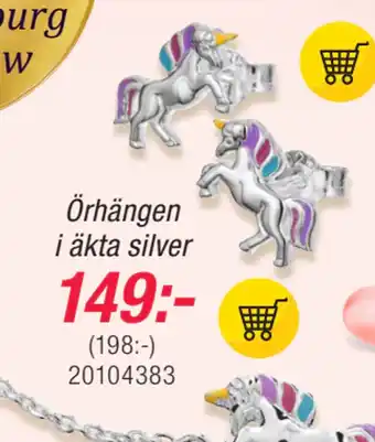 Guldfynd Örhängen i äkta silver erbjuda