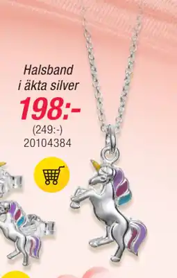 Guldfynd Halsband i äkta silver erbjuda