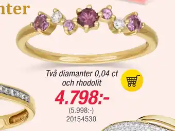 Guldfynd Två diamanter 0,04 ct och rhodolit erbjuda