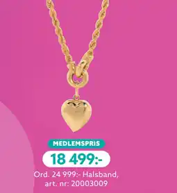 Albrekts Guld Halsband erbjuda